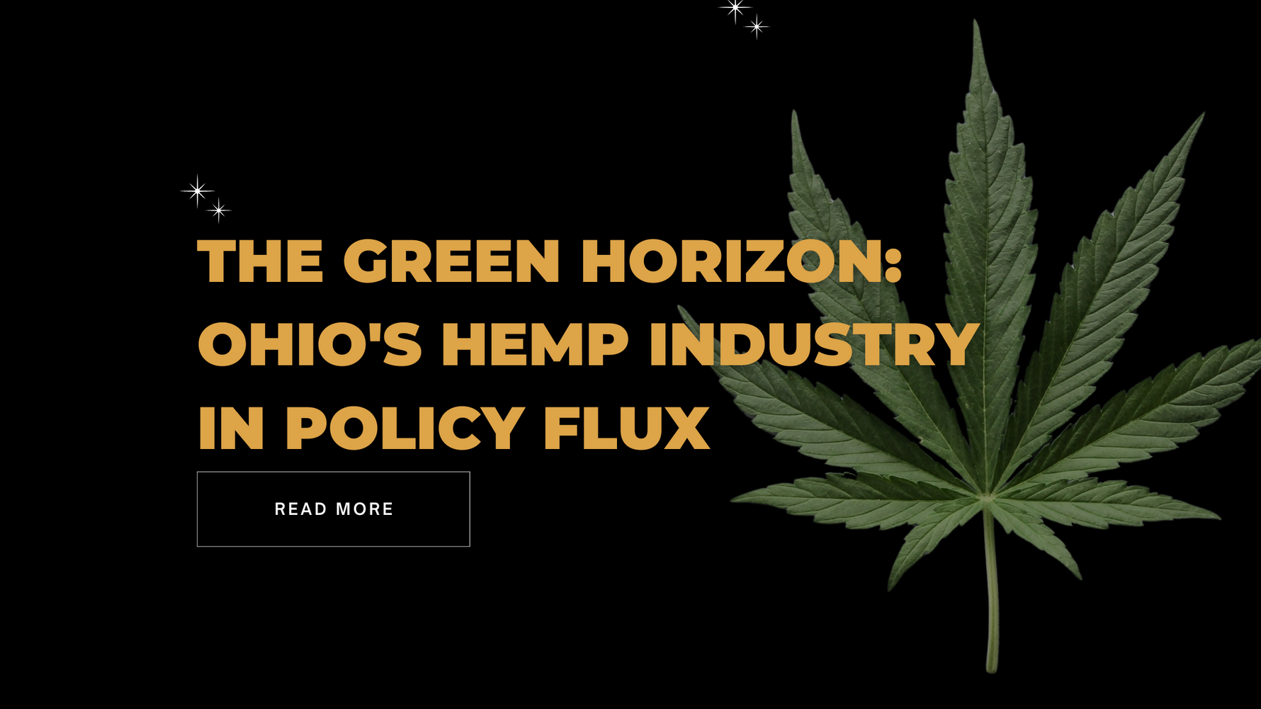 The Green Horizon: Ohio's Hemp Industry in Policy Flux