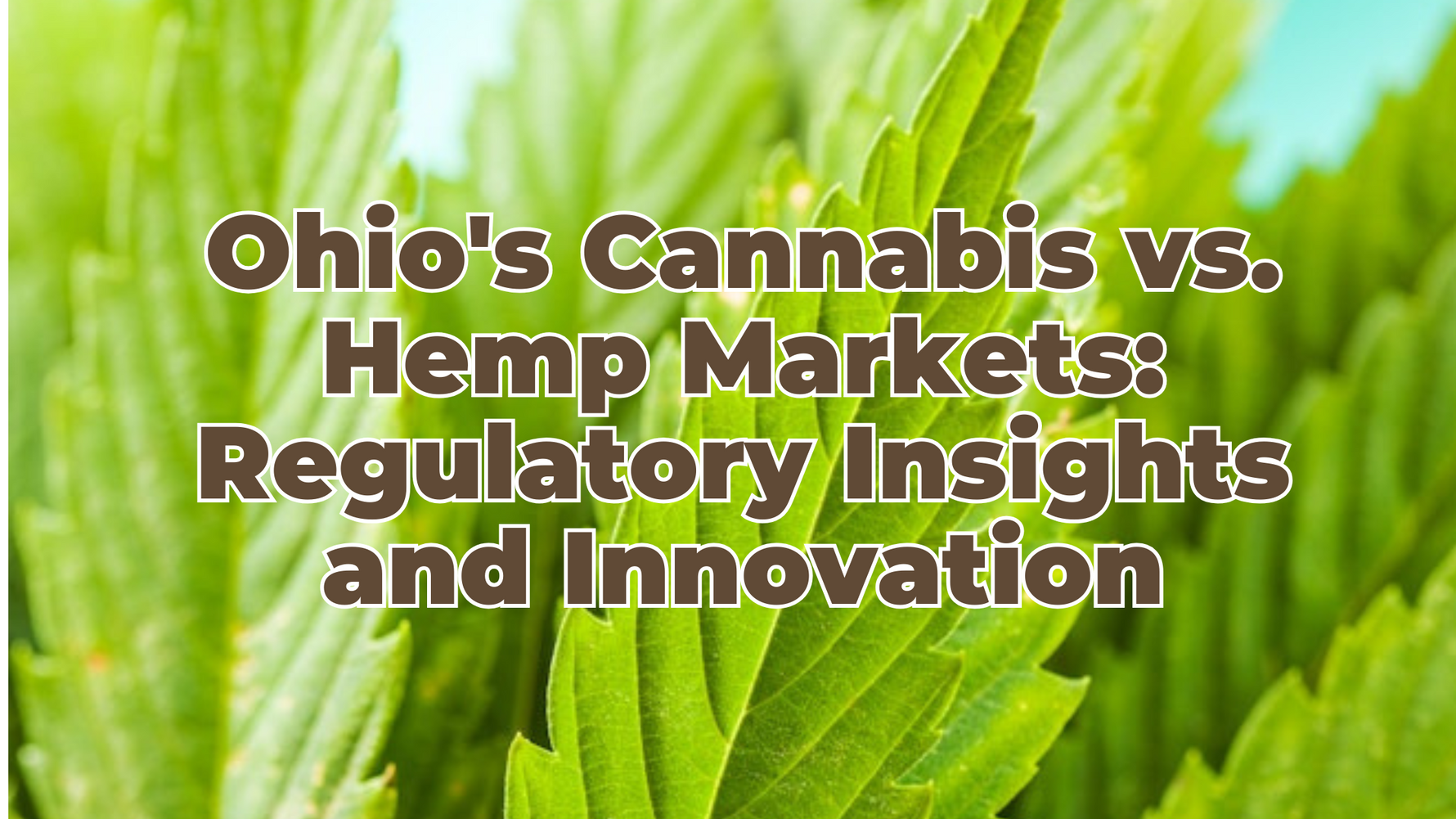Ohio's Cannabis vs. Hemp Markets: Regulatory Insights and Innovation