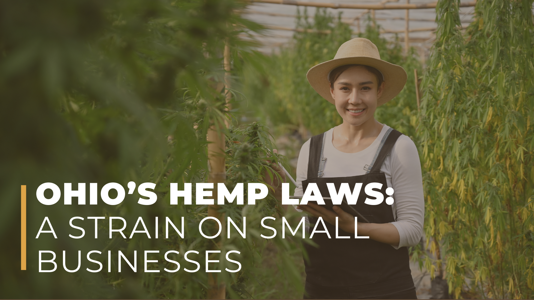 Ohio's Hemp Laws: A Strain on Small Businesses