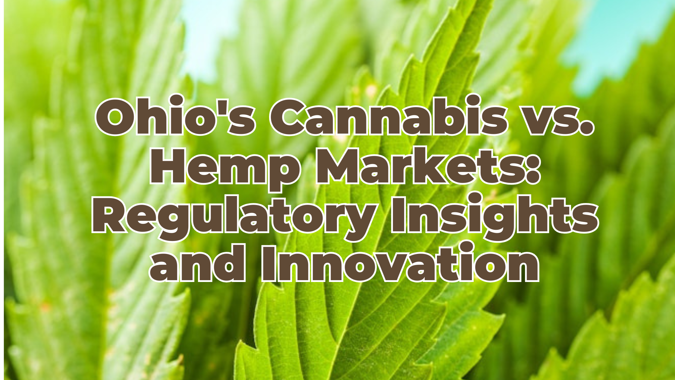 Ohio's Cannabis vs. Hemp Markets: Regulatory Insights and Innovation