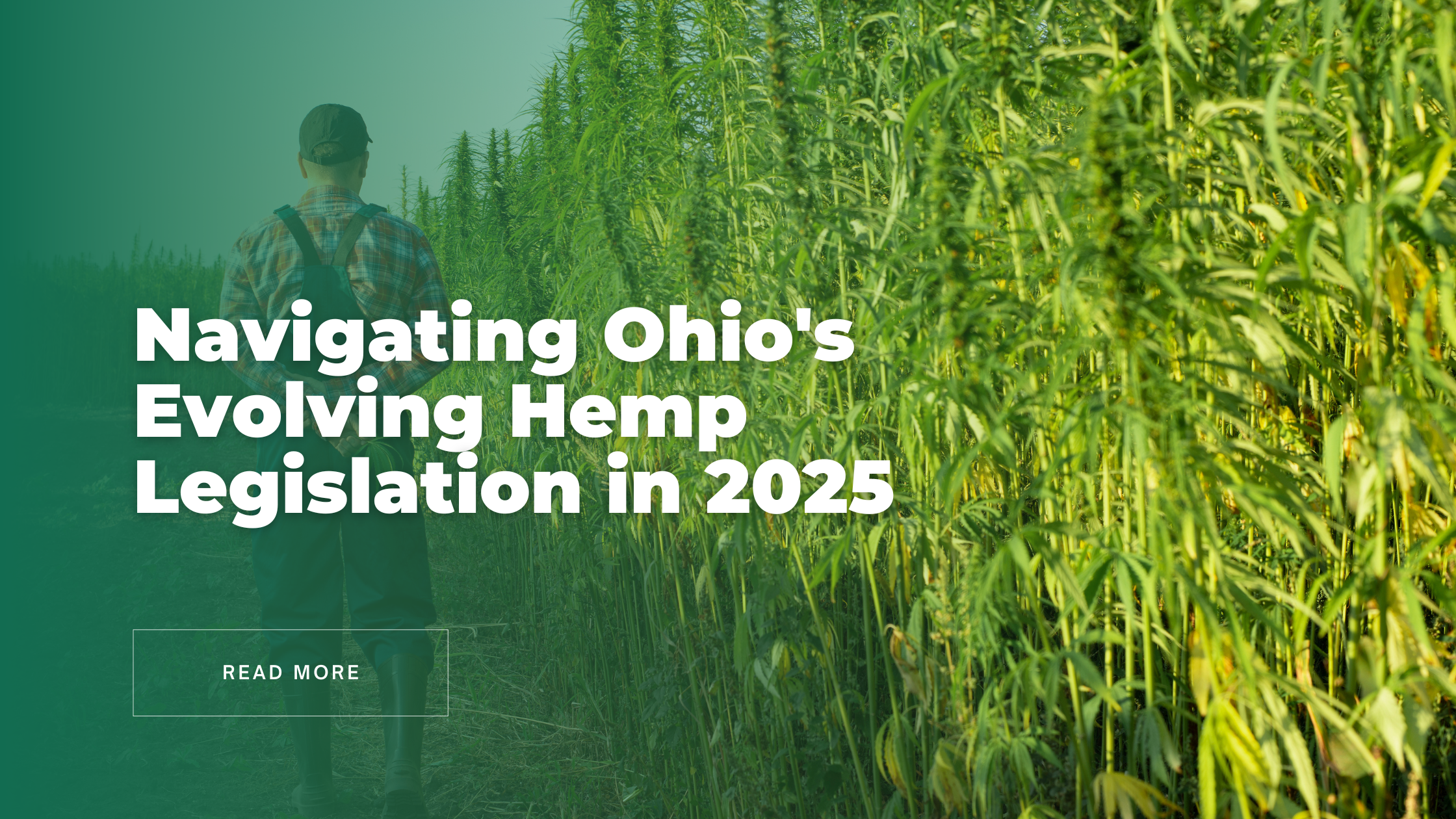 Navigating Ohio's Evolving Hemp Legislation in 2025