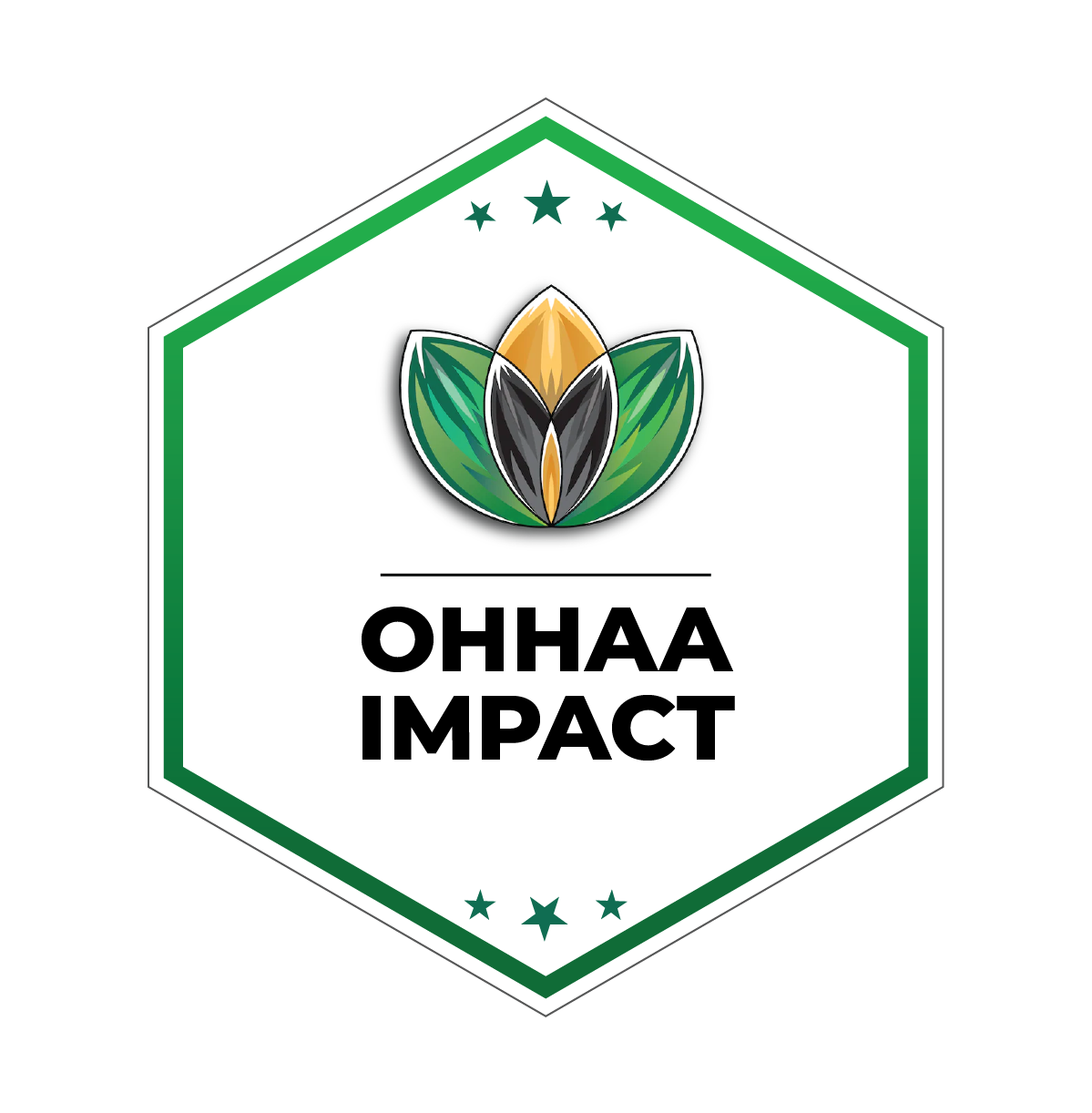 Impact at Scale $1000+ | One Time Donation